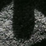 Profile photo of Lowhangers